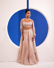 Load image into Gallery viewer, Noor Lehenga