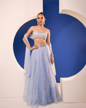 Load image into Gallery viewer, Alisha Lehenga
