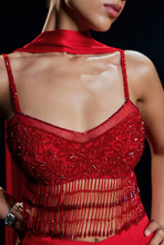 Load image into Gallery viewer, ARIS