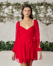 Load image into Gallery viewer, Rose Mini Dress