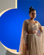 Load image into Gallery viewer, Anaya Lehenga

