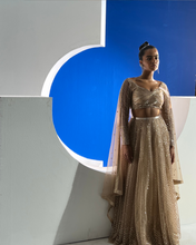 Load image into Gallery viewer, Anaya Lehenga
